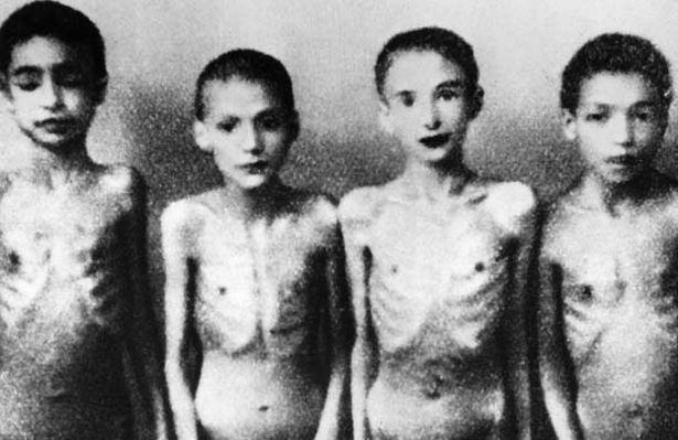 Auschwitz Concetration Camp