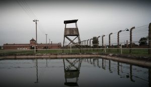 Auschwitz photos