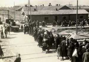 Auschwitz photos