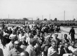 Auschwitz photos