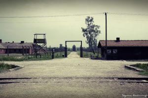 Auschwitz Pictures