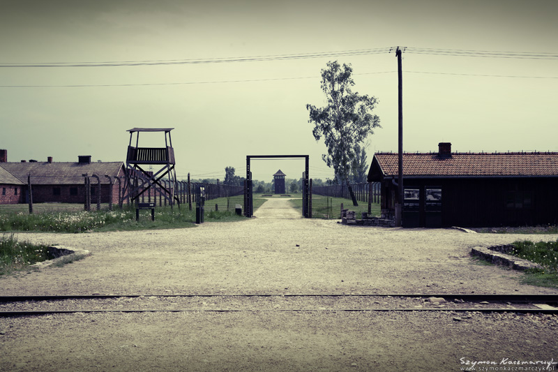 📷 Auschwitz Photos – Shocking Pictures of History [Listed]