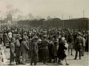 Auschwitz Pictures