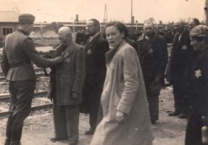 Auschwitz Photos