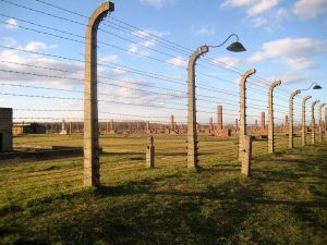 Auschwitz photos