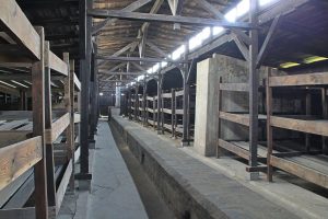 Auschwitz pictures