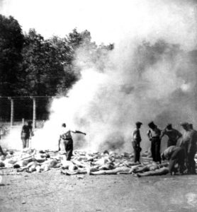 Auschwitz Birkenau shocking pictures burning bodies