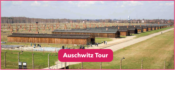 Auschwitz Tour DC