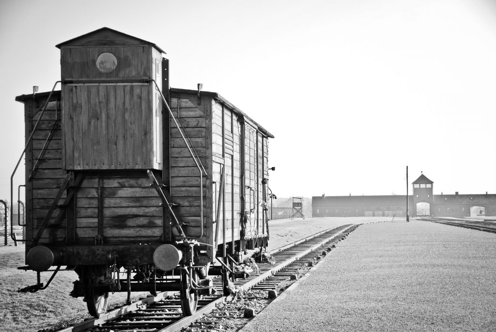 auschwitz photos