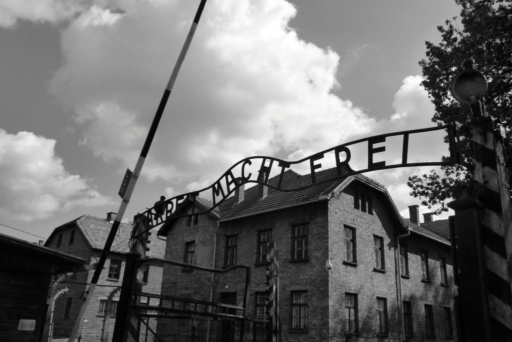 auschwitz photos