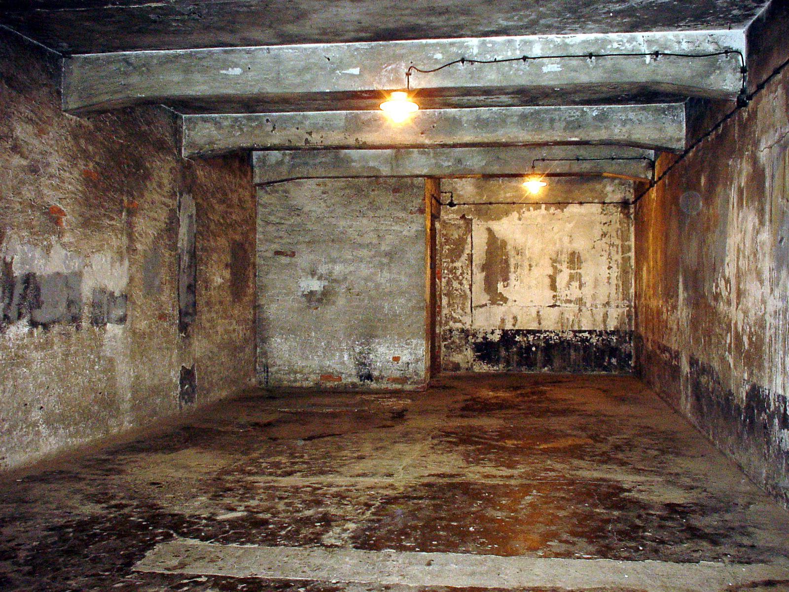 holocaust death camps gas chambers