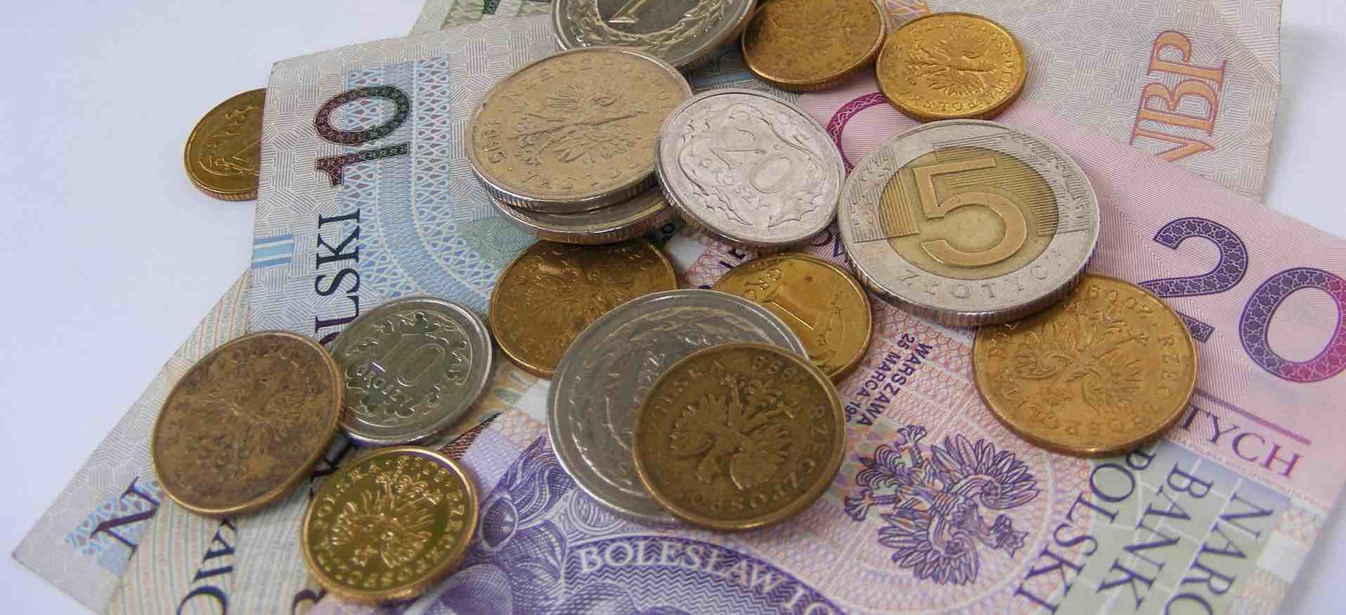 39 Polish Money In Euro