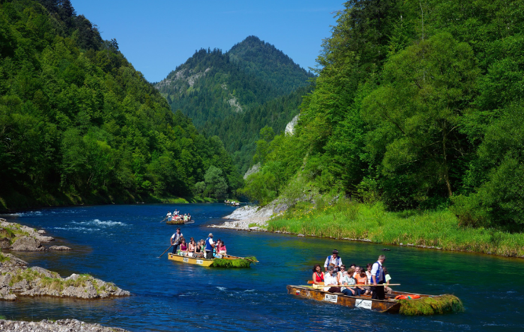 Swim down the dunajec river