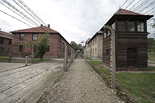 Krakow to Auschwitz