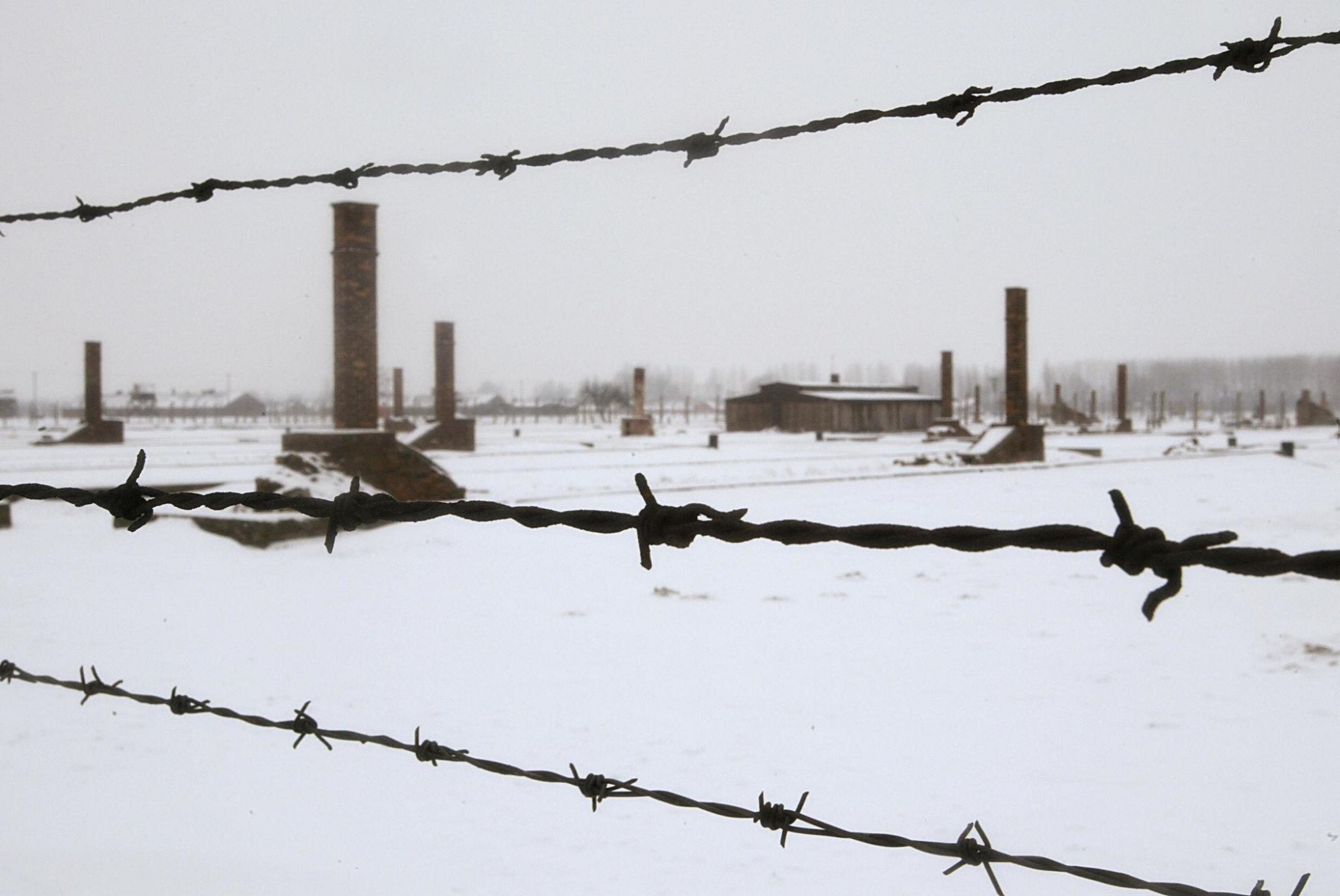 Auschwitz Birkenau