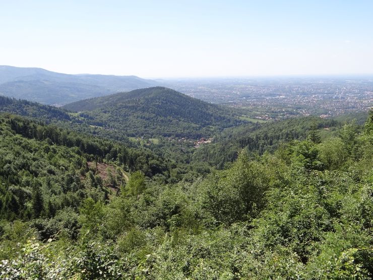 Łysa Góra Łysa Góra