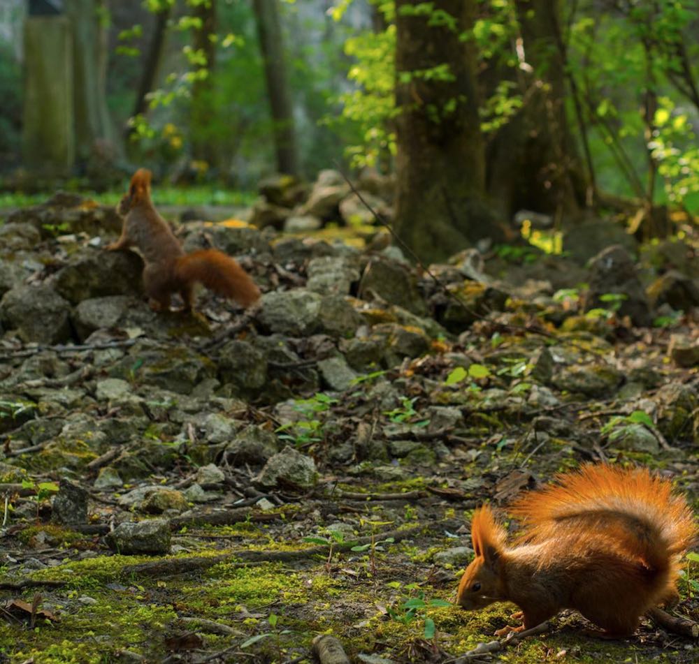 Places to relax Krakow Places to relax Krakow