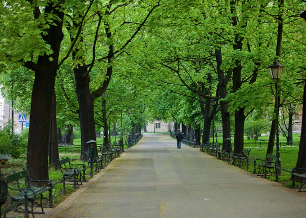 Places to relax Krakow Places to relax Krakow