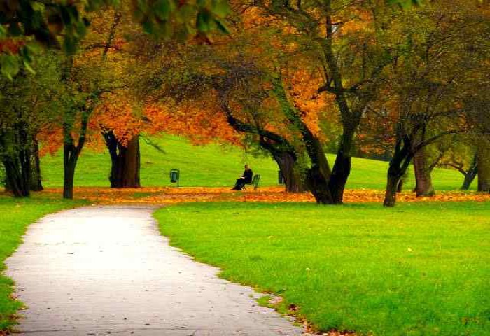 krakow-in-september-park