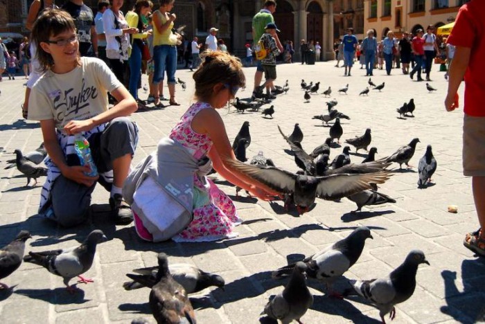 krakow-with-kids-pigeons