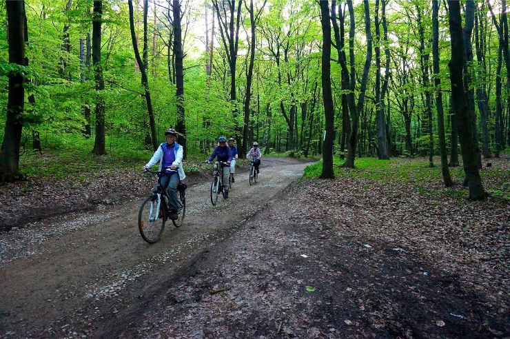 biking in forest near krakow