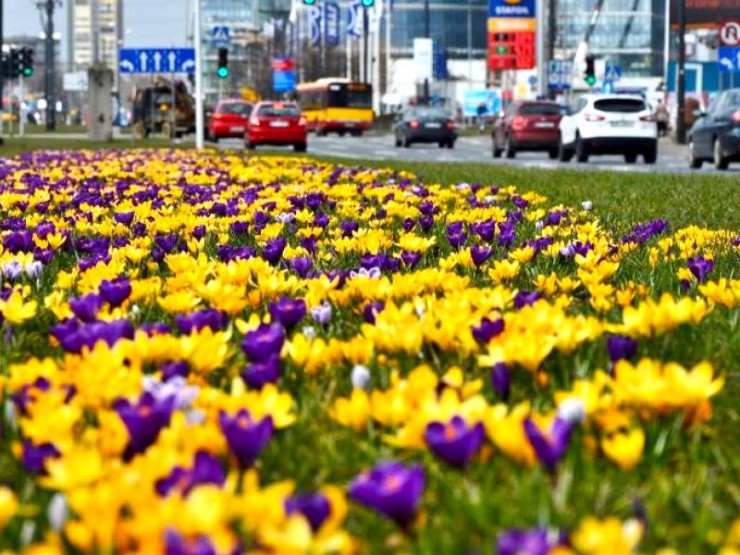  poland-weather-march