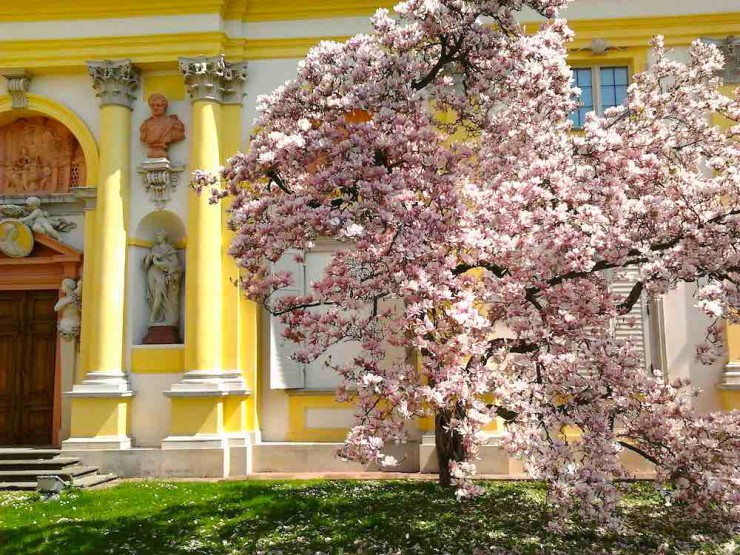  poland-weather-wilanow