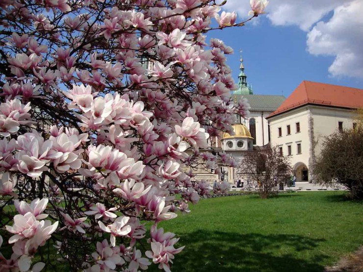 visit-krakow-spring