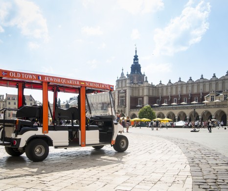 City Sightseeing by electric car (Melex) 90 minutes (3 Districts)