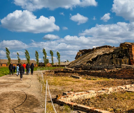 Auschwitz-Birkenau: English Guided Tour Entrance Ticket