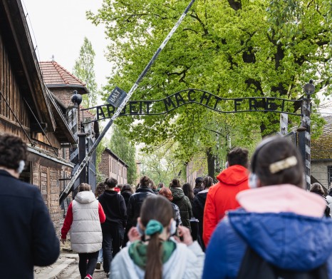From Krakow: Auschwitz-Birkenau Guided Tour