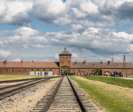 Auschwitz-Birkenau Guided Tour from Cracow