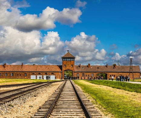 Auschwitz-Birkenau Guided Tour from Cracow - Meeting Point