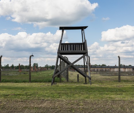 Auschwitz-Birkenau Guided Tour from Cracow - Private Transport