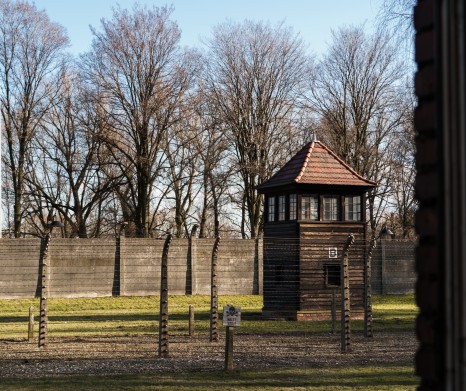 Auschwitz Shuttle - Kraków to Auschwitz Museum