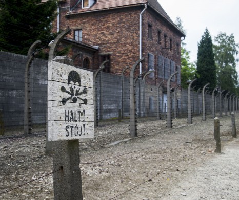 From Krakow: Auschwitz - Birkenau Self-Guided Tour