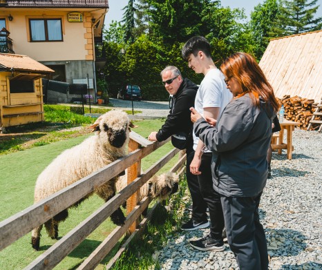 From Krakow: Zakopane Day Trip with Thermal Pools & Gubałówka Funicular Ride