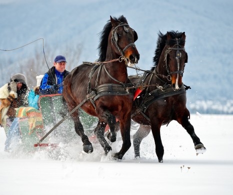 Zakopane Tour from Krakow - optional Thermal Pools or Sleigh Ride