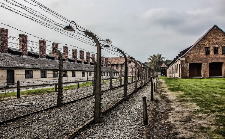 Auschwitz & Wieliczka Full Day Tour