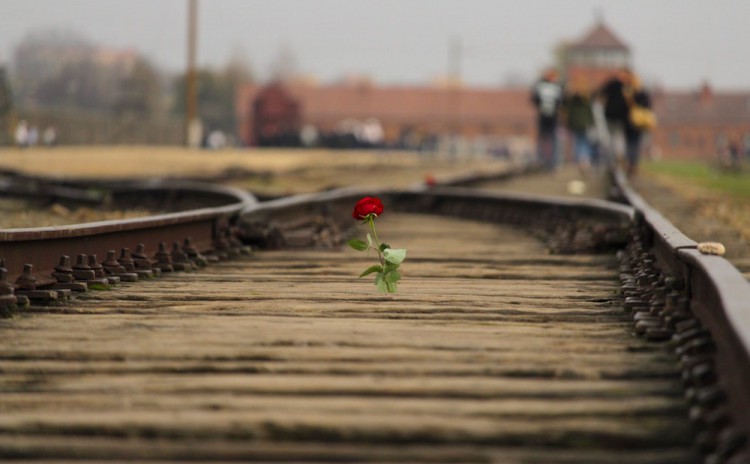 auschwitz shuttle Don't like travelling in a group? Take the Shuttle Bus to Auschwitz
