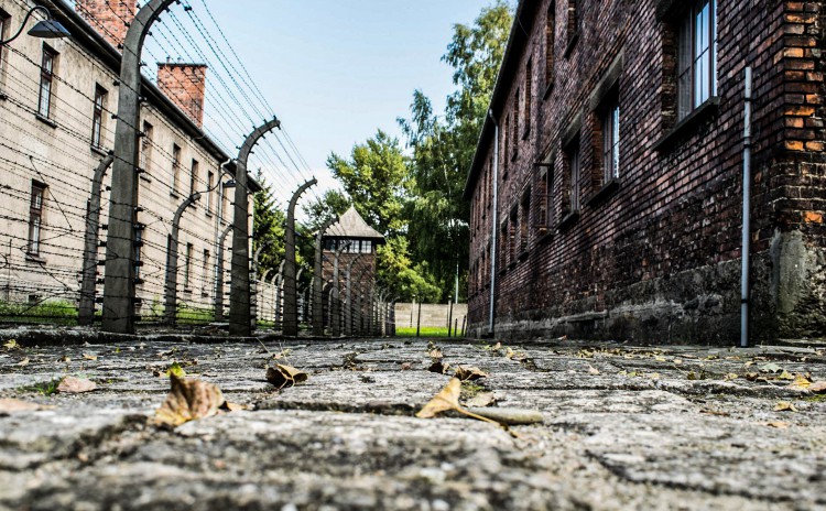Auschwitz fallen leaves